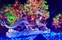 Enchanted Christmas Lights The Butchart Gardens: Entry included!