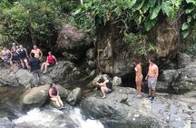 El Yunque Rainforest and Waterfall Guided Tour