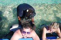 Small Group Snorkeling, Sharks & Rays Encounter At Punta Cana