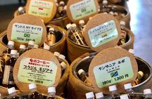 Sake Town Tour in Saijo Hiroshima