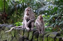 Private Shore Excursion: Ubud Art Villages and Sacred Monkey Forest