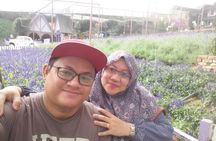 Cameron Highland Day Trip
