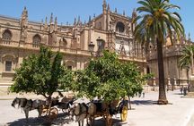 Cathedral, Alcazar and Giralda Guided Tour with Priority Tickets 