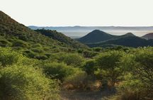 Scenic Game Drive Activity