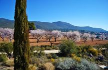 Small Group - Half-Day Wine Tour