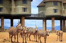3 Days(2 nights) Tsavo East Tour & Saltlick (Cost based on minimum 2 persons)