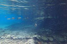 Skip the Line:Recanto Ecologico Rio da Prata Ticket including Trail & Snorkeling