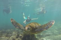  4-Day Galapagos Island Hopping Tour: Isabela, Boat Tours and Airport Transfer