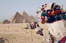 Half Day Tour Pyramids 