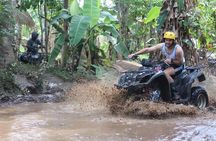 Bali ATV Blue Lagoon Snorkeling Private Guided Tour Free WiFi 