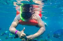Yelapa Waterfall, BBQ at Exclusive Majahuitas Beach & Open bar