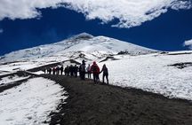 Cotopaxi Full-Day from Quito Including Entrances