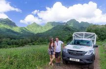 Private Tour Moorea 4WD - Belvedere Pineapple Farm, Magic Mount.