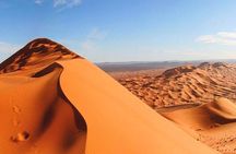 Morning Red Dunes Safari: Camel Ride & Sandboarding Adventure