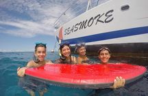 Big Island Snorkel Cruise from Waikoloa