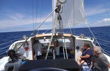Big Island Snorkel Cruise from Waikoloa