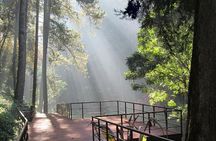 Bandung Private Tour Mountain Volcano and Hotspring ( Overland )