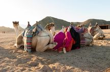 Camel Ride In Aswan + lunch 