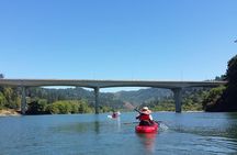 Kayaking Brookings Chetco River
