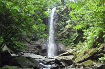 Avocat Waterfall Tour & Beach Stop Adventure 