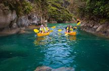 Best Abel Tasman Day trip