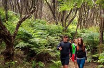 Best Abel Tasman Day trip