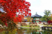 Seoul Highlights Seoul Must See {Private Tour}