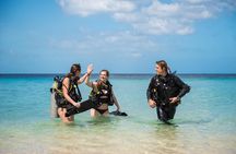 PADI Discover Scuba Dive at 5 Star Dive Center Blue Bay Dive, Curacao
