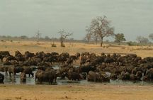 5 Day Victoria Falls and Hwange National Park Accommodated Tour Safari