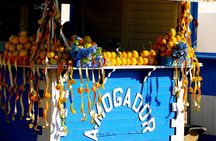 Private Day Trip to Essaouira from Marrakech including 1h-camel 