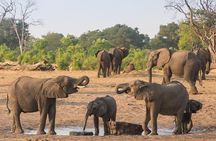 5 Day Victoria Falls and Hwange National Park Accommodated Tour Safari