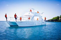 Full-Day Catalina Island Snorkeling Tour from Punta Cana