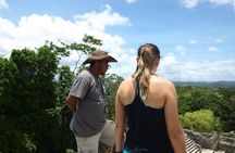 Caracol Day Trip & Mountain Pine Ridge from San Ignacio