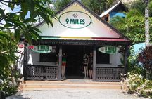 Private Tour Ocho Rios or Runaway Bay To 9 Mile Bob Marley Birth & Resting Place