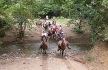 Horseback Riding River swimming From Bayahibe 