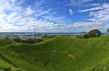 Auckland Tour City Highlights Half Day