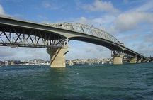 Auckland Tour City Highlights Half Day