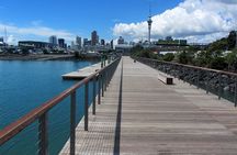 Auckland Tour City Highlights Half Day