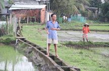  Jeep Tour Danang to Hai Van Pass Lunch Lang Co Beach & Waterfall