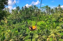 Bali Highlights : Private 2 Day Bali Tours