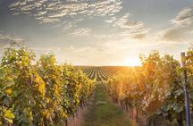 Bratislava-Prague One-Way Sightseeing Tour 