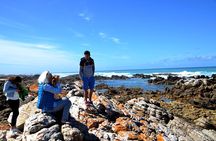 Cape Agulhas small group tour 
