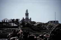 Cape Agulhas small group tour 