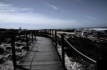 Cape Agulhas small group tour 