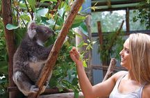 Private Guided Tour: Blue Mountains Tour from Sydney