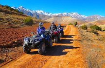 Marrakech Quad & Camel Ride and Traditional Spa
