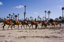 Marrakech Quad & Camel Ride and Traditional Spa