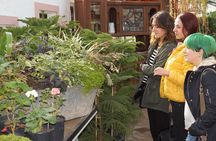 Tour to Gardenia Shevardnadze Flea Market and Tbilisi Old Town
