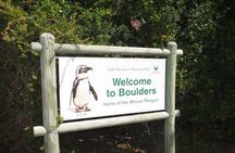 Cape of Good Hope & Penguin small group tour from Cape Town