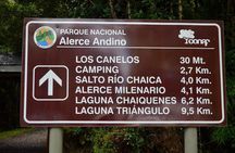 Puerto Varas: Full day Alerce Andino National Park.